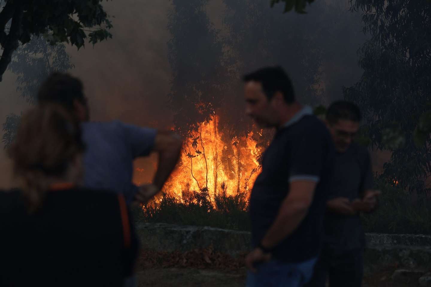 Incêndio em Penalva de Castelo, Viseu, a 16 de setembro de 2024