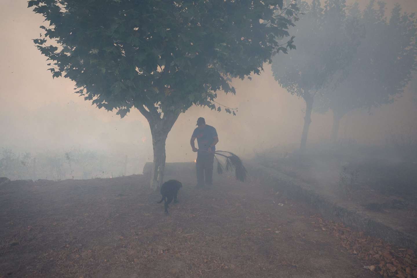 Incêndio em Penalva de Castelo, Viseu, a 16 de setembro de 2024