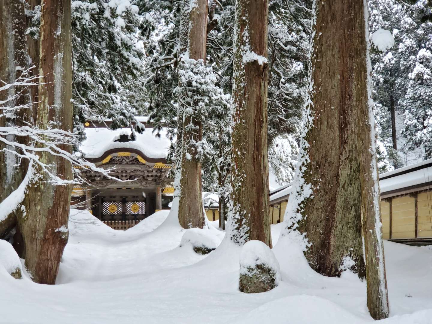 O nevão que atingiu o Japão durante segunda e terça-feira