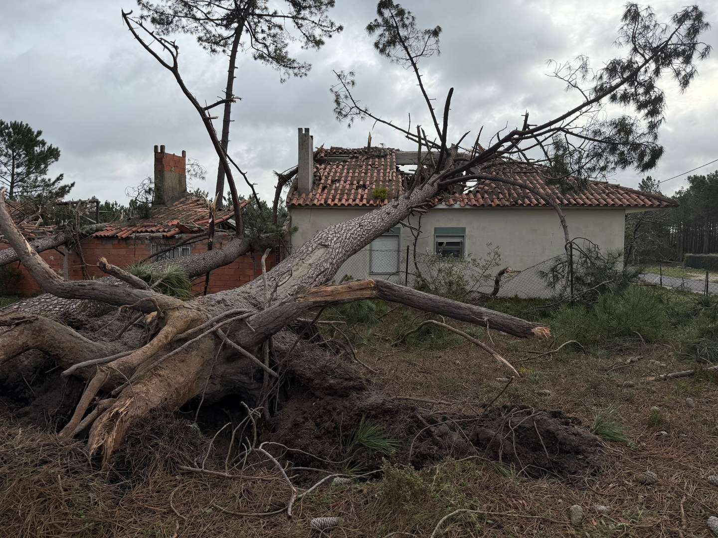 Casa destruída Alcobaça