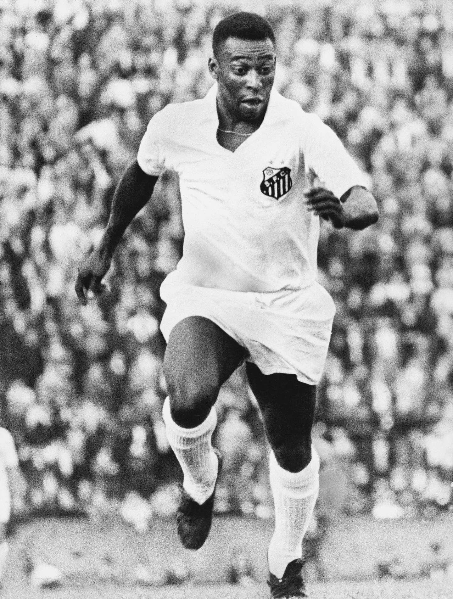 Pele / Santos FC