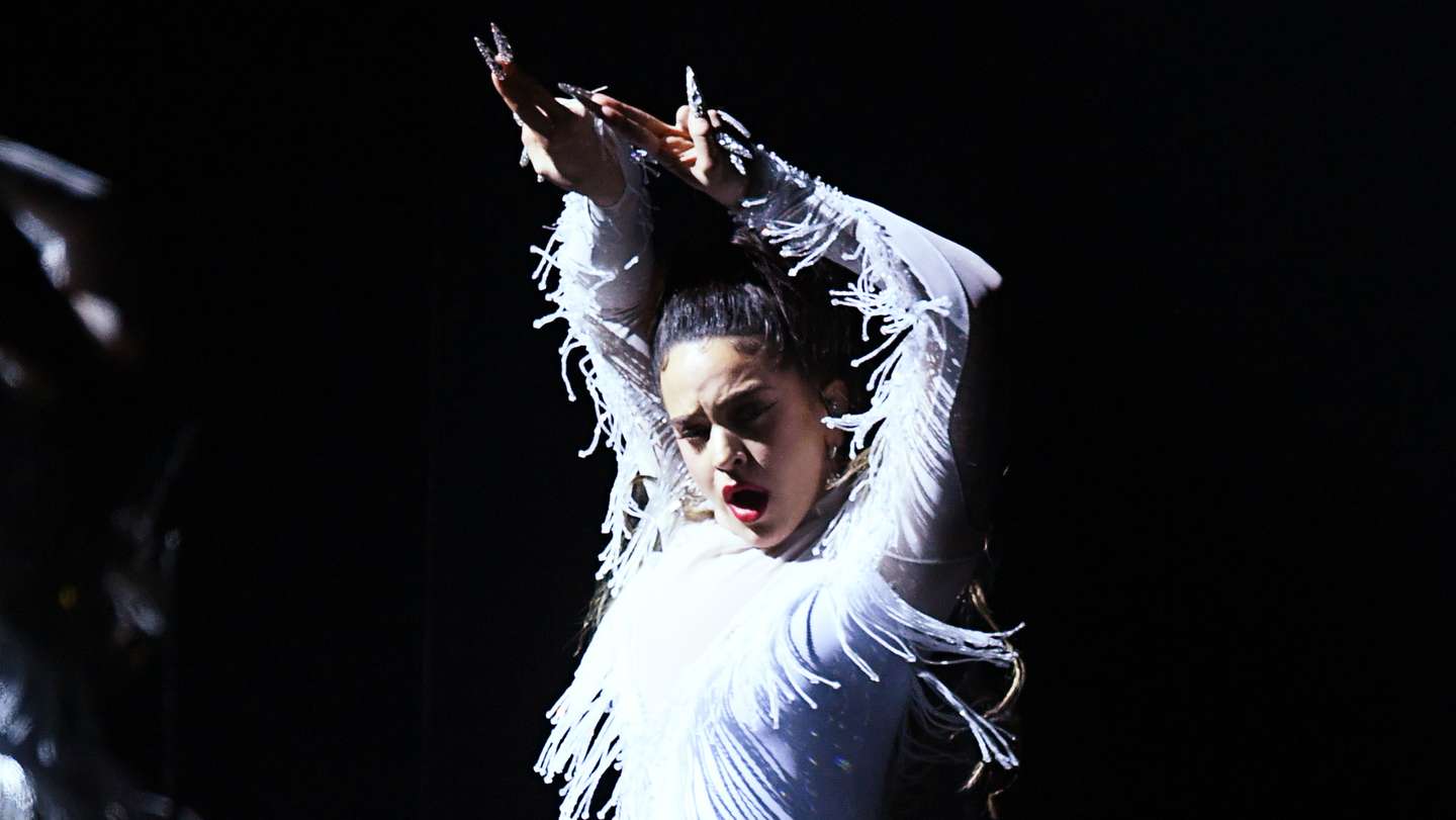 62nd Annual GRAMMY Awards - Show