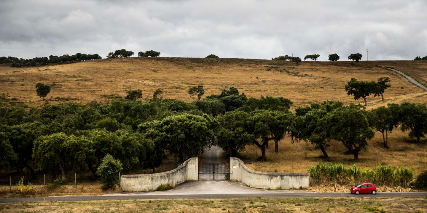 As imagens da caçada de dezembro abriram a polémica à volta da gestão da fauna e da flora da herdade da Torre Bela