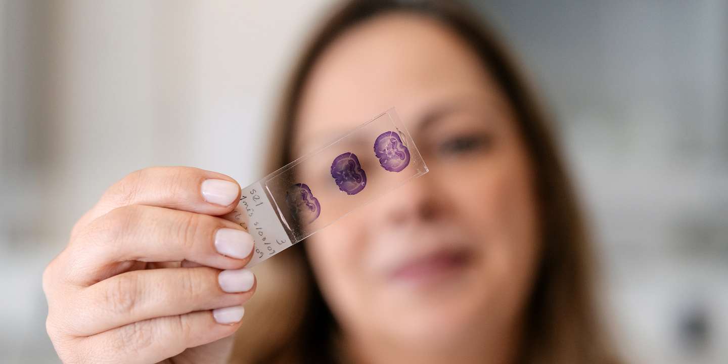 Neurociências, ensino, saúde mental, famílias. Neste projeto, os conceitos e as dinâmicas misturam-se para garantir o bem-estar dos mais novos