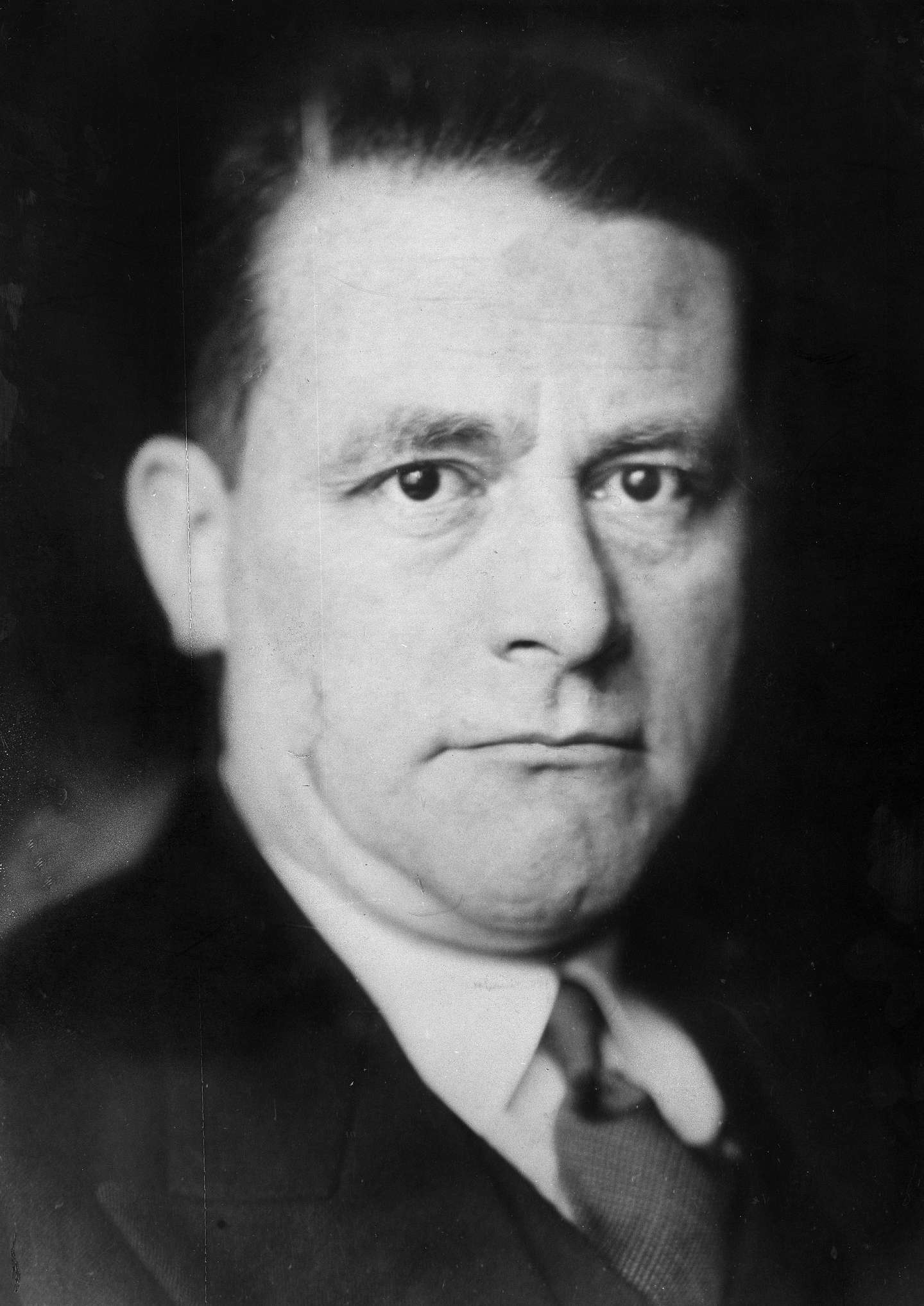Carl Schmitt, Jurist, D - 1932