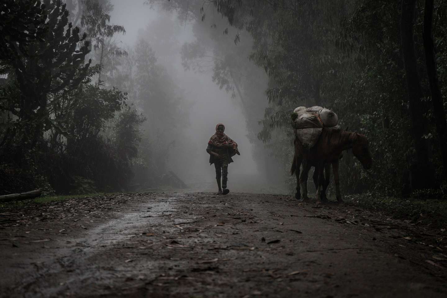 Honorable Mention Searching for Peace Amidst Chaos Amanuel Sileshi, Ethiopia, Agence France-Presse