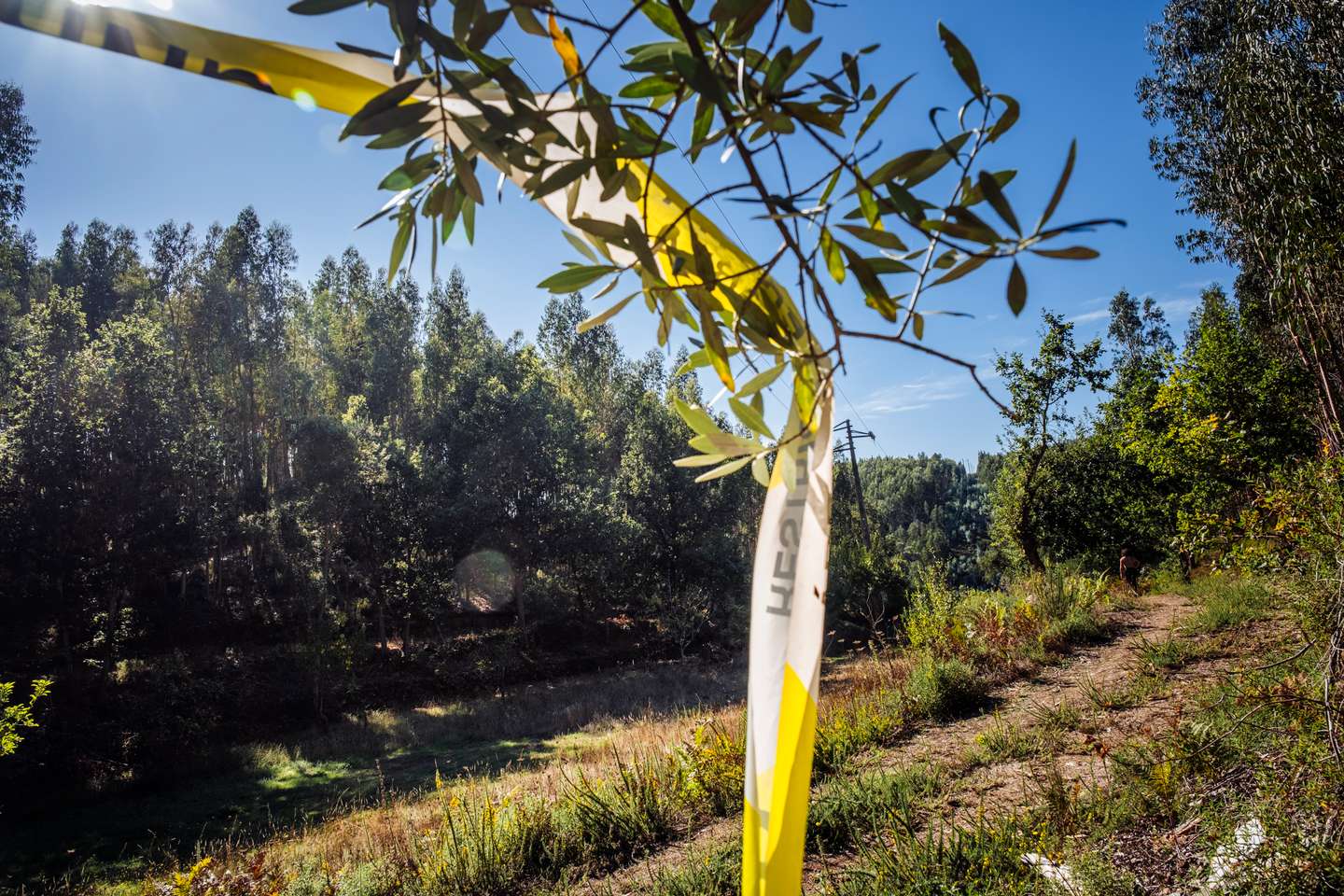 Grupo de estrangeiros foi à GNR participar desaparecimento de amigo. Mas um dos homens admitiu: o jovem de 27 anos não tinha desaparecido, estava morto