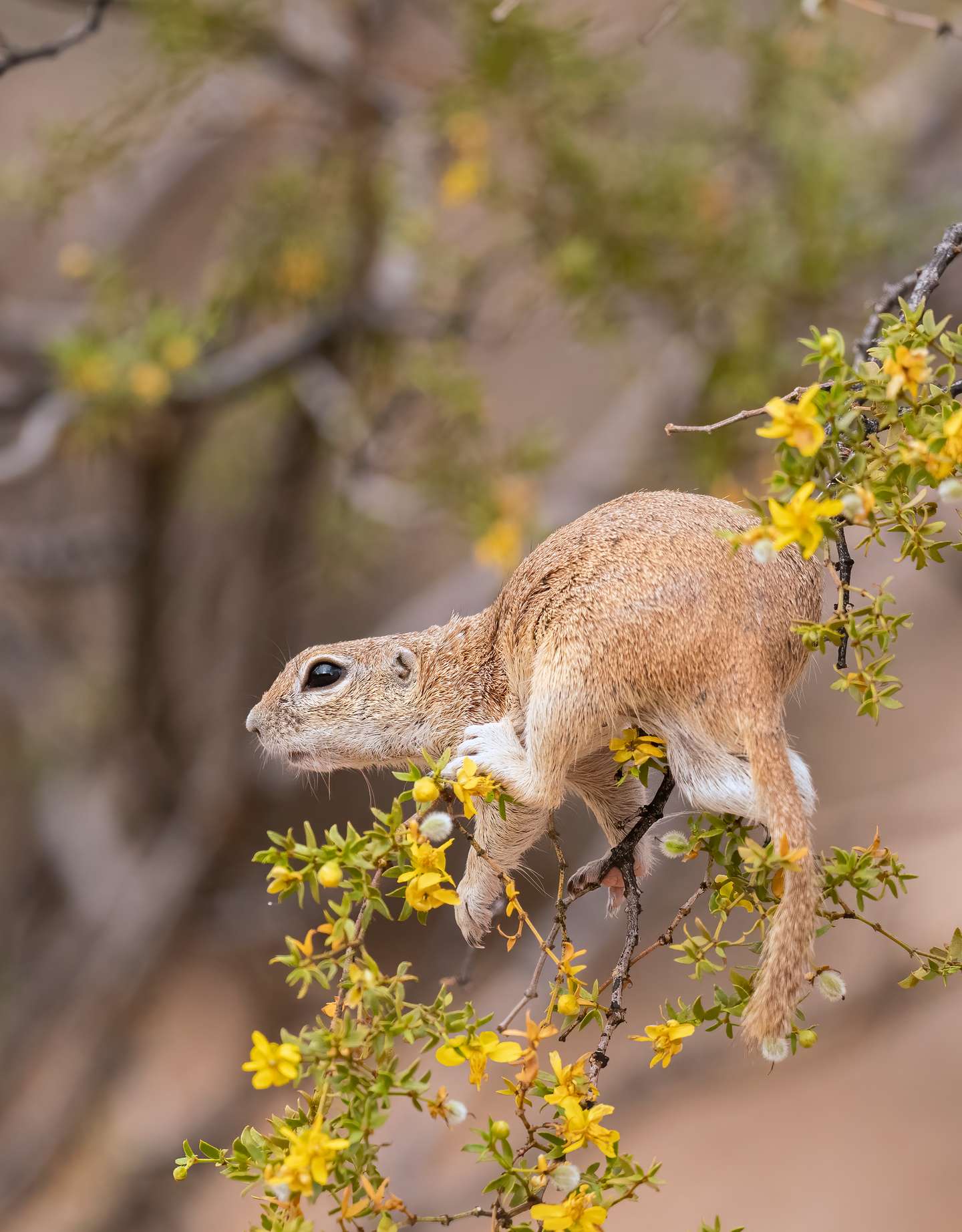 Nature Photographer of the Year 2021