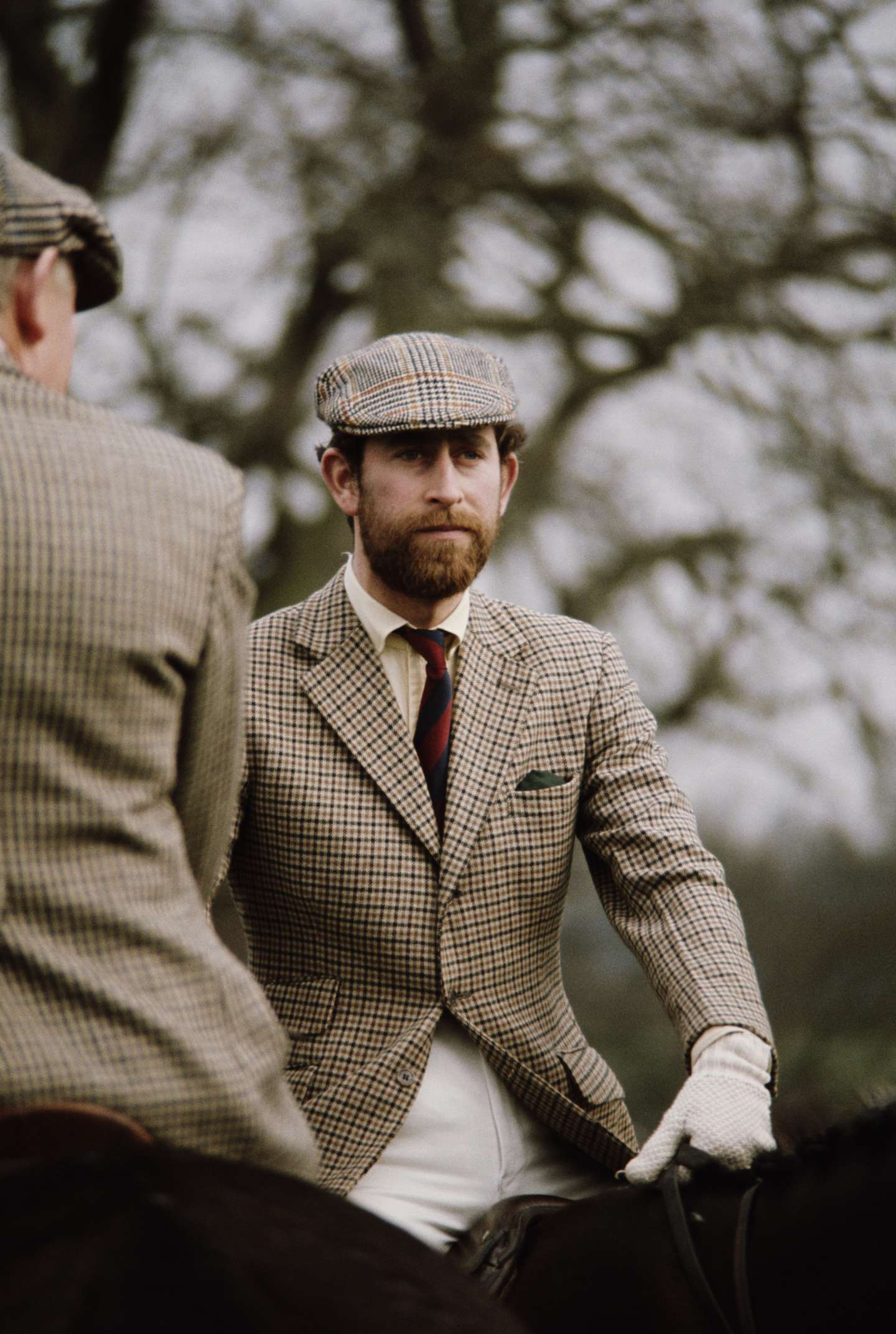 Bearded Prince