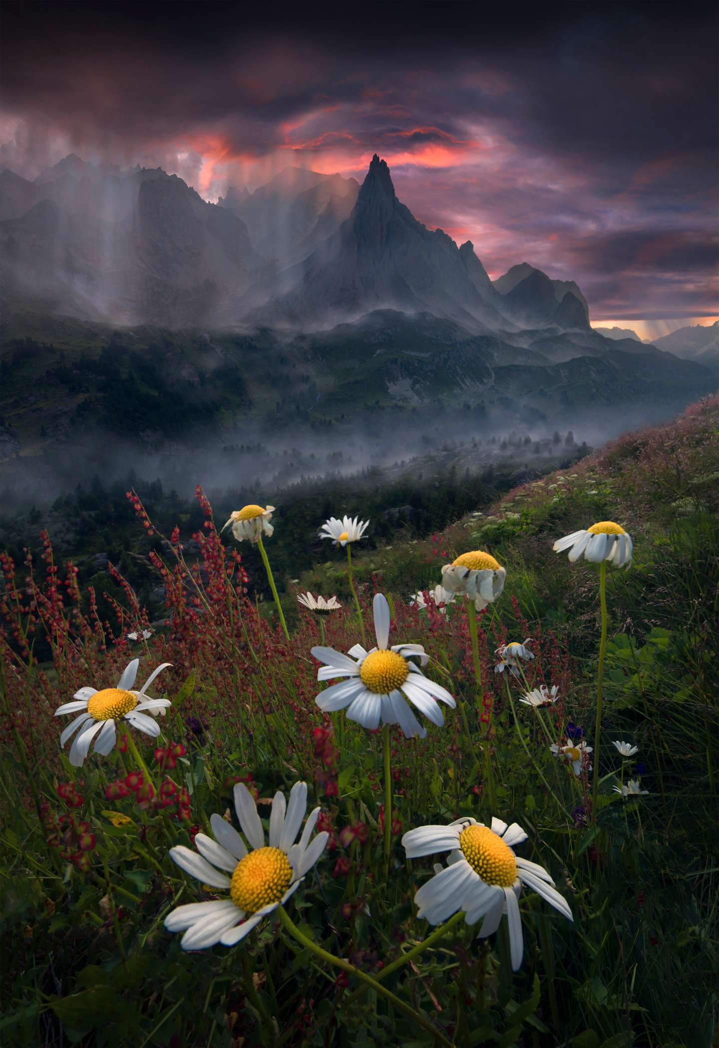 International Landscape Photographer of the Year