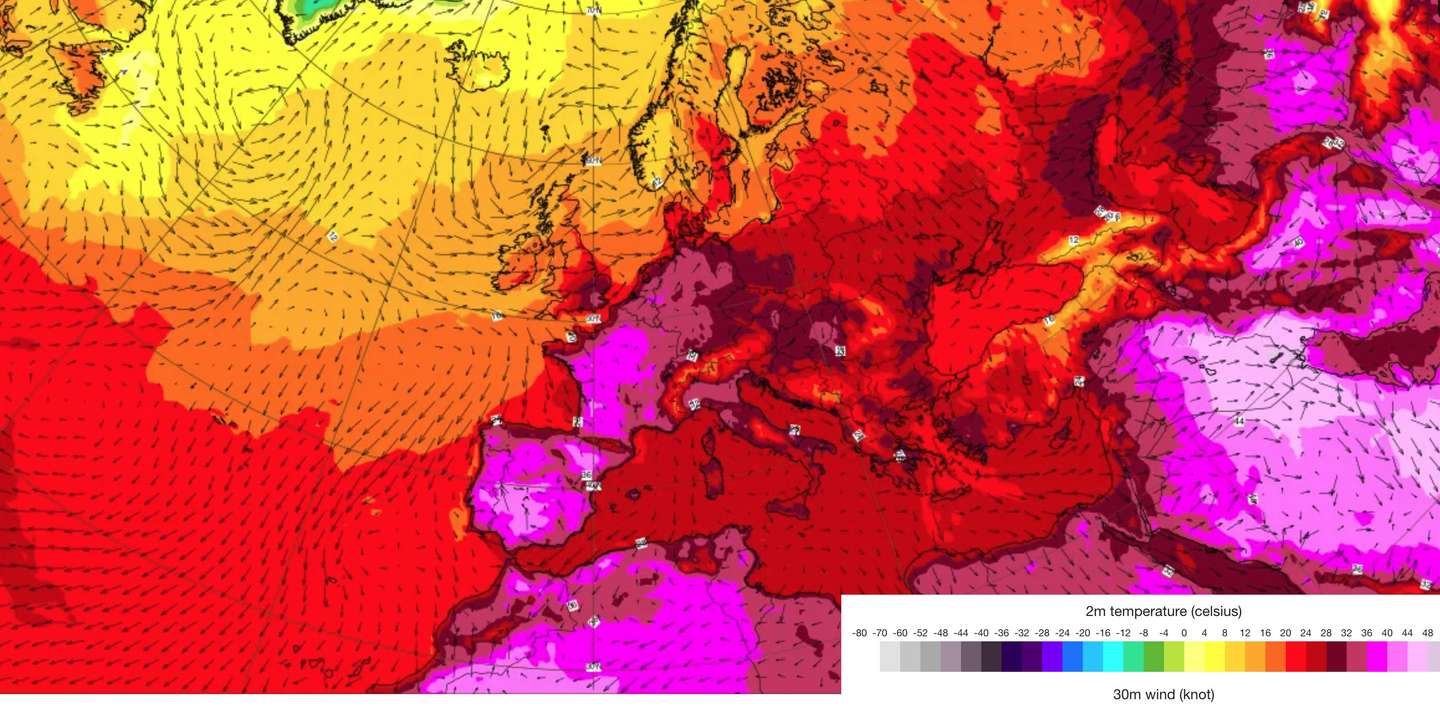O tom rosa vivo de calor do modelo europeu para terça-feira