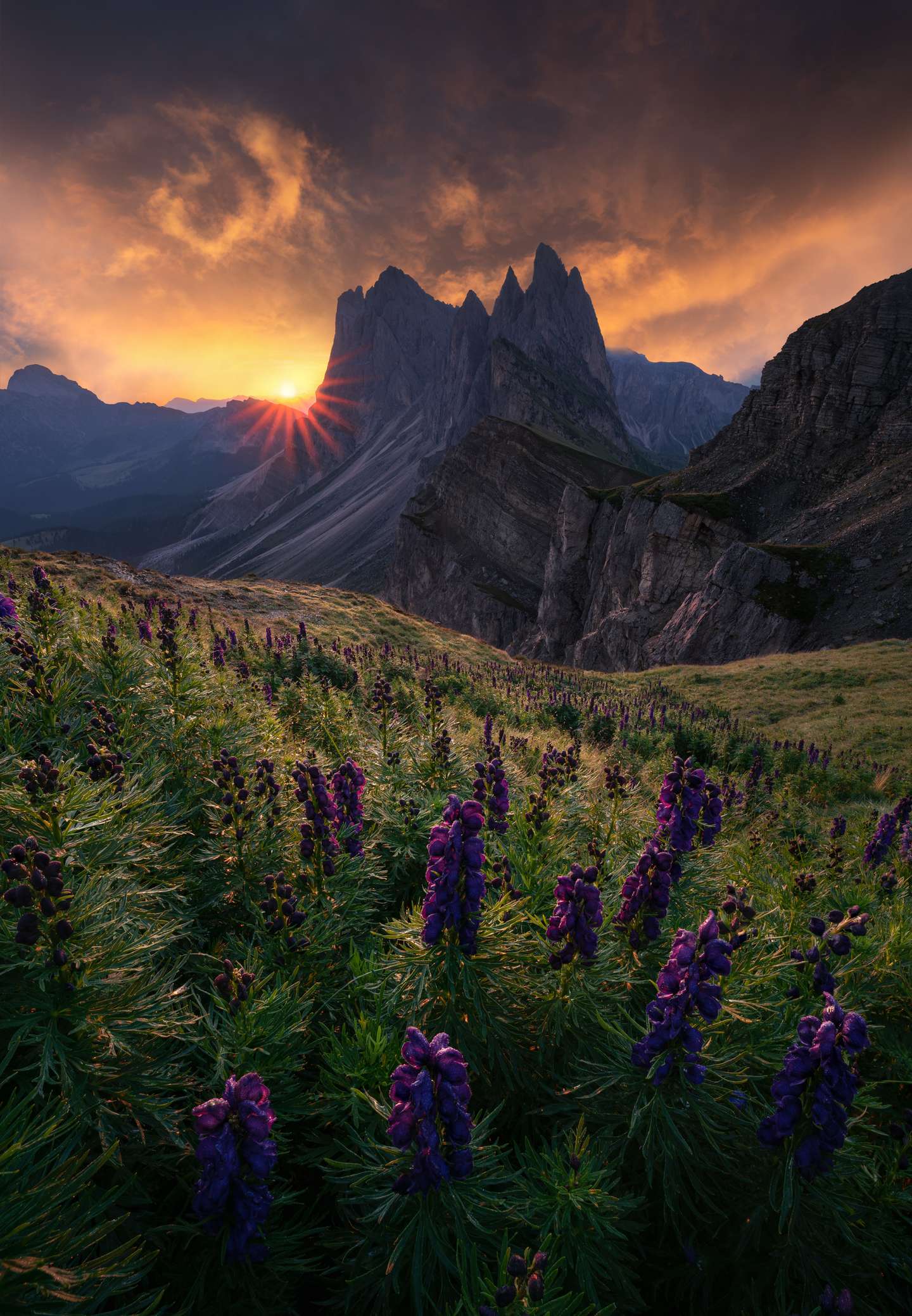 International Landscape Photographer of the Year