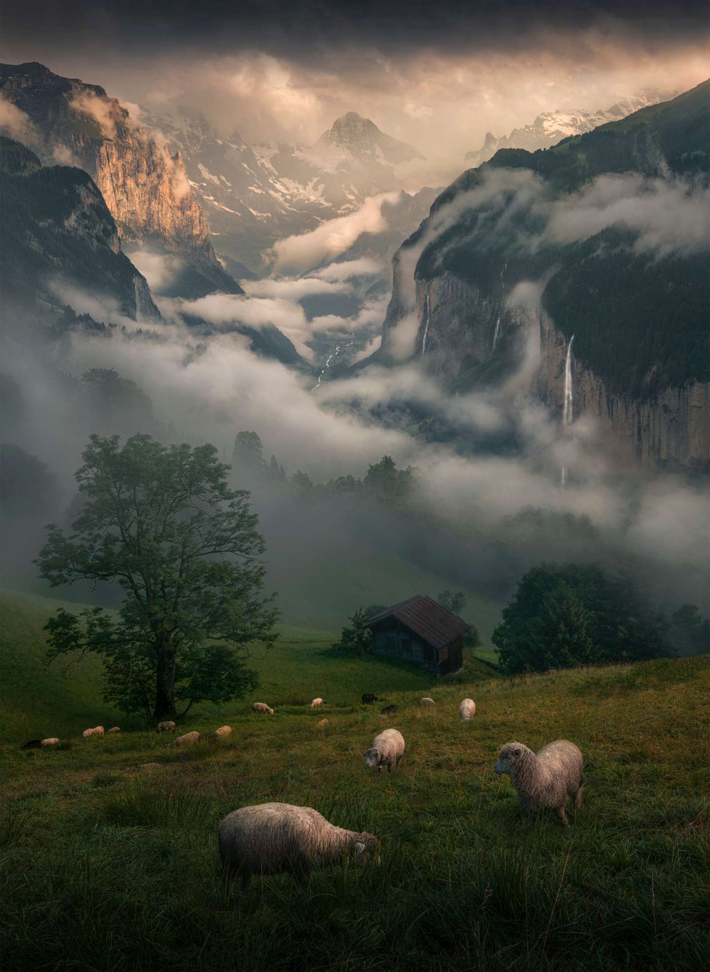 International Landscape Photographer of the Year