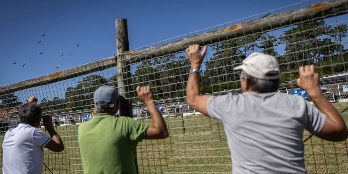 Aquando da largada, o céu estava limpo e levantara-se uma ligeira brisa norte, pelo que se encontravam reunidas as condições ideais para a prática do desporto