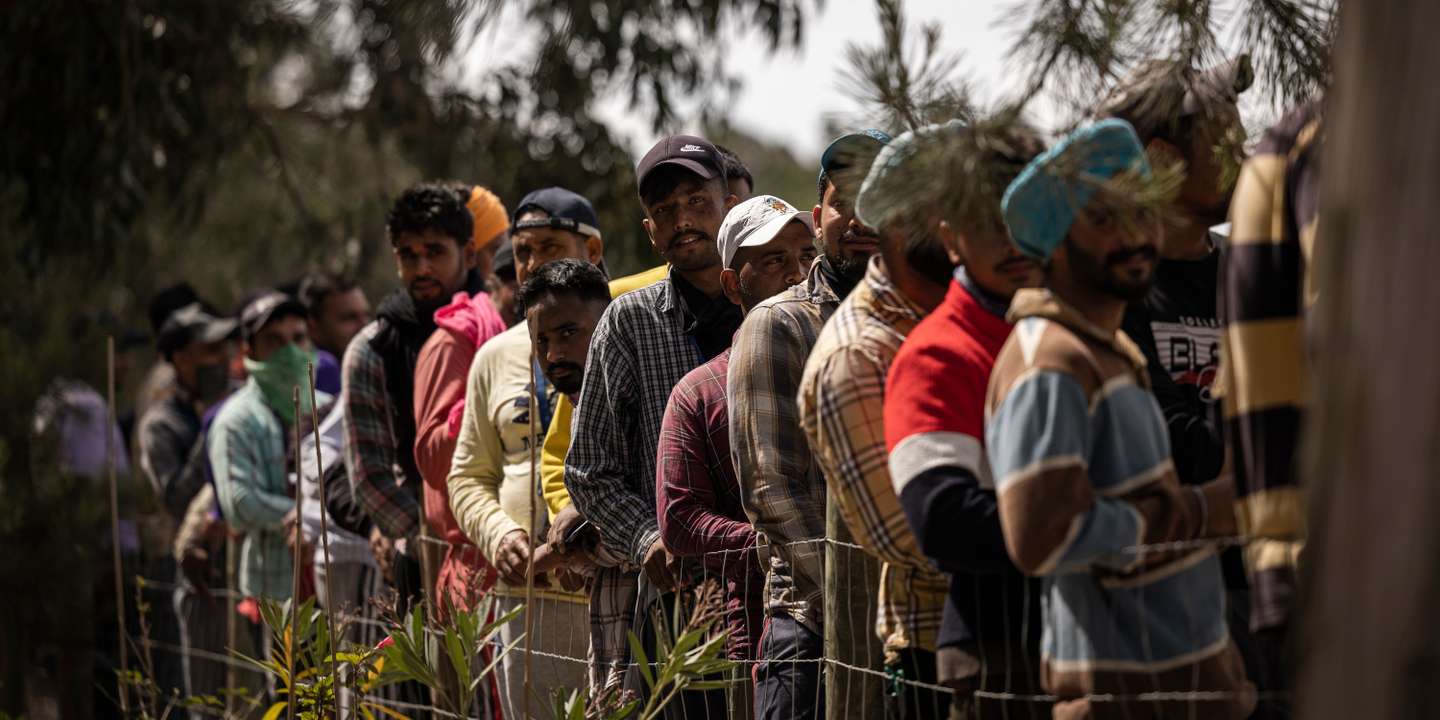"É muito difícil suportar a hipocrisia, ver os políticos a culpar as pessoas que vieram para cá trabalhar por problemas que não causaram. Acusar os imigrantes de roubarem empregos ou de fazerem baixar os salários ou de trazerem a criminalidade…"