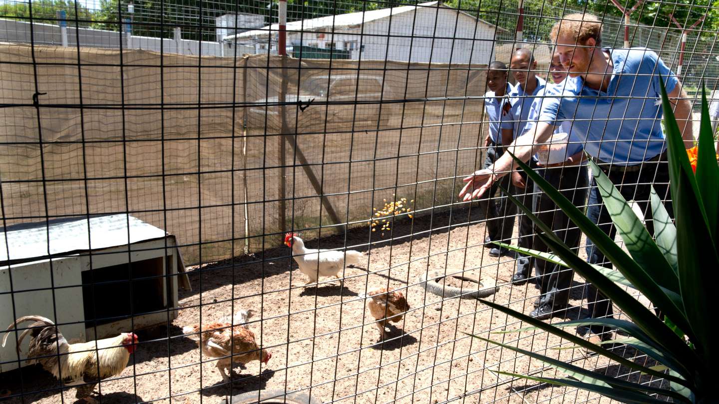 Prince Harry Visits Africa - Day 3