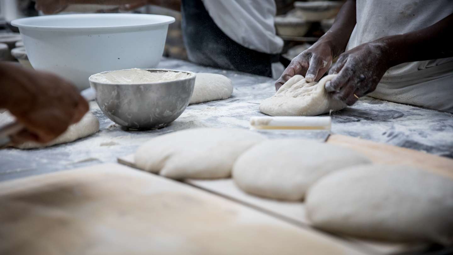 Padaria e pastelaria O Beco, em Lisboa, onde todos os produtos são confessionados com o processo de fermentação lenta, utilizando a massa mãe como base. 18 de Maio de 2023 Padaria O Beco, Lisboa TOMÁS SILVA/OBSERVADOR