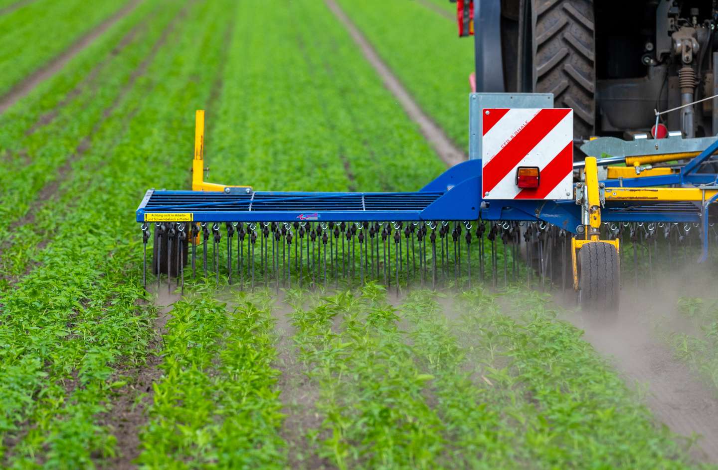 Expansion of organic farming in Lower Saxony