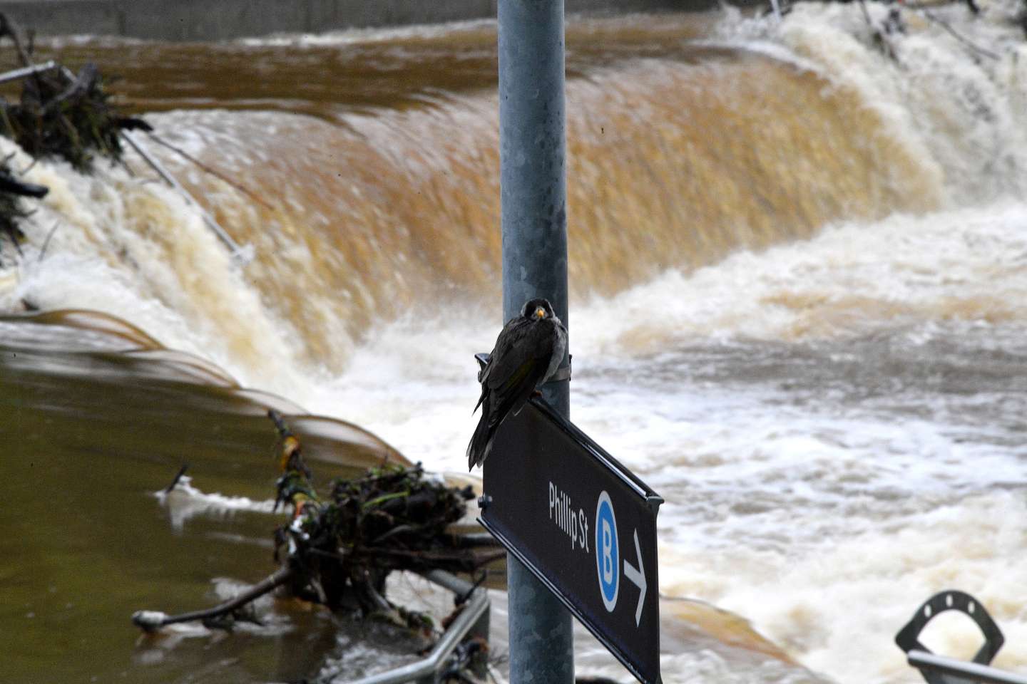 AUSTRALIA-WEATHER-FLOOD