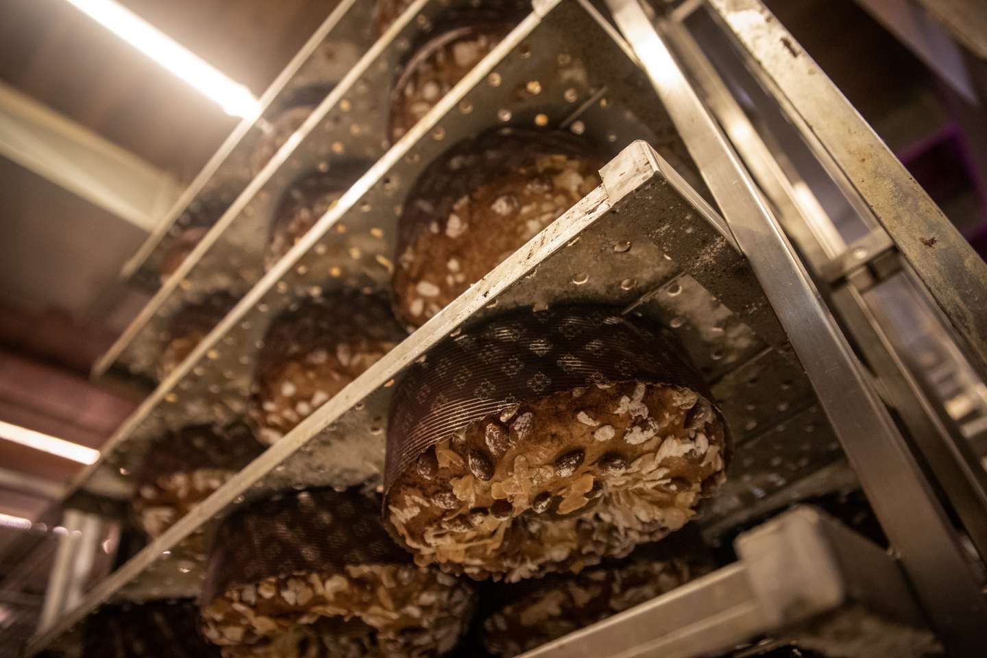 O Bolo-Rei que demora 36 horas a ser feito, único no mundo, é fabricado em Alcântara na padaria GLEBA. Utilizando métodos naturais de fermentação e uma receita original, o bolo-rei na padaria GLEBA cumpre, desde a primeira mistura de água e farinha até à saída do forno, três dias de preparação para estar pronto a ser consumido. O Observador acompanhou todo o processo de fabricação deste bolo natalício, que só é produzido entre Novembro e Dezembro de cada ano. 7 de Dezembro de 2021 GLEBA (Moagem &amp;amp; Padaria), Alcântara, Lisboa TOMÁS SILVA/OBSERVADOR