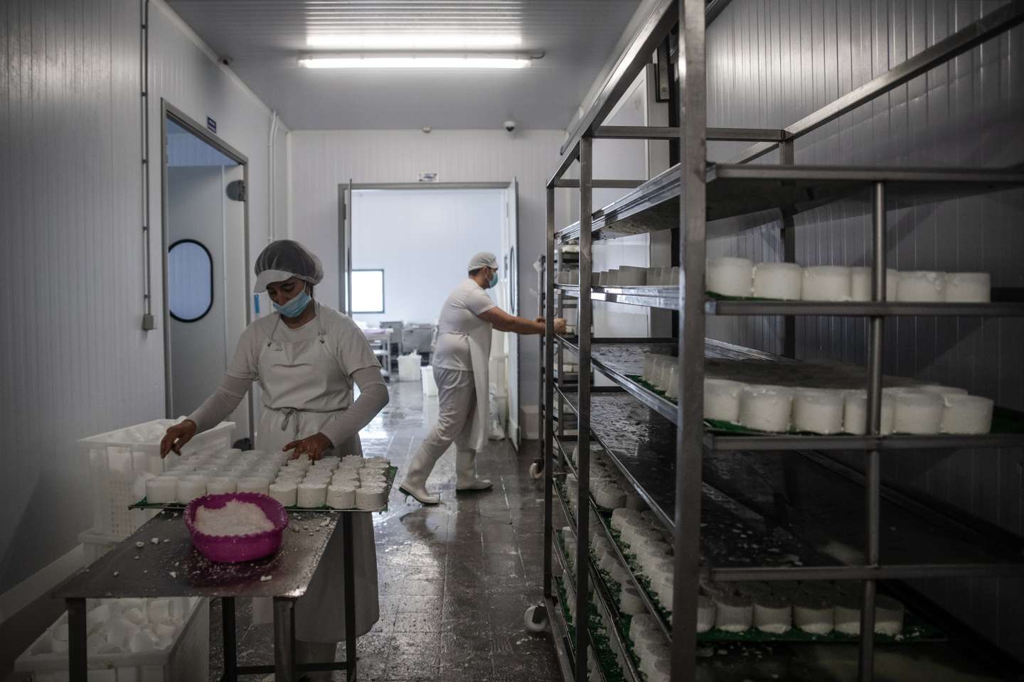 Reportagem sobre a falta de mão de obra no sétor da agricultura/pecuária: Dulce Ganhão, dona da marca de queijos Monte Ganhão, na sua fábrica em Sousel. Sousel, Portalegre 10 de Dezembro de 2021 TOMÁS SILVA/OBSERVADOR
