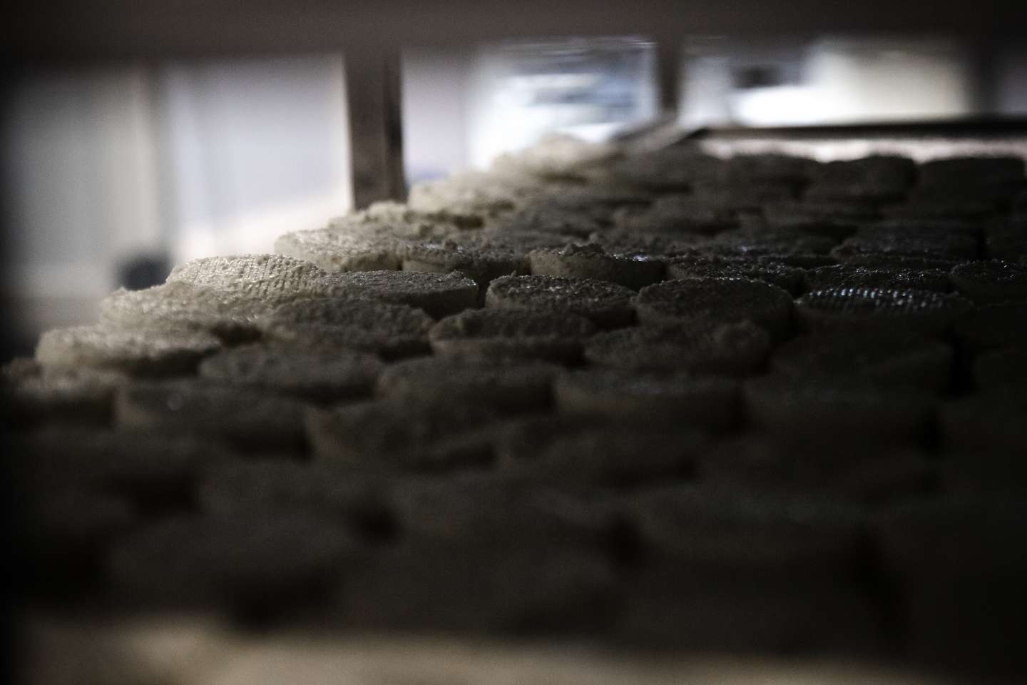 Reportagem sobre a falta de mão de obra no sétor da agricultura/pecuária: Dulce Ganhão, dona da marca de queijos Monte Ganhão, na sua fábrica em Sousel. Sousel, Portalegre 10 de Dezembro de 2021 TOMÁS SILVA/OBSERVADOR