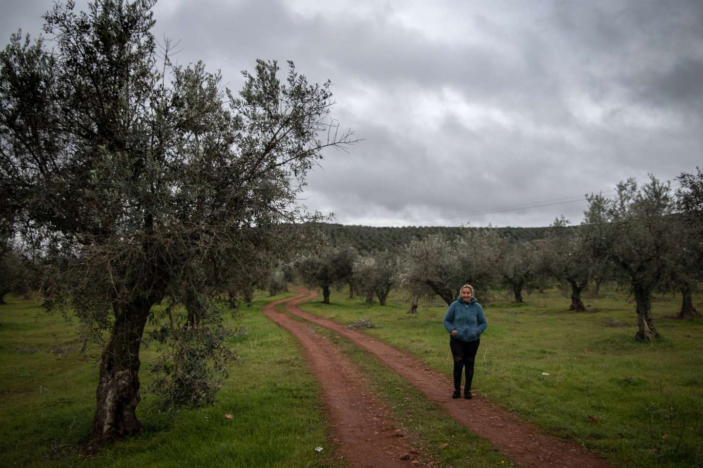 Reportagem sobre a falta de mão de obra no sétor da agricultura/pecuária: Albertina, ovinocultora e também dona de um olival. Sousel, Portalegre 10 de Dezembro de 2021 TOMÁS SILVA/OBSERVADOR