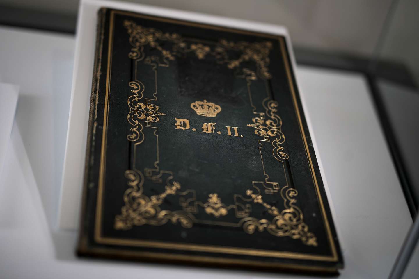Reportagem no Palácio da Pena a propósito do inventário de D Fernando II. Sintra, 01 de Fevereiro de 2022. FILIPE AMORIM/OBSERVADOR