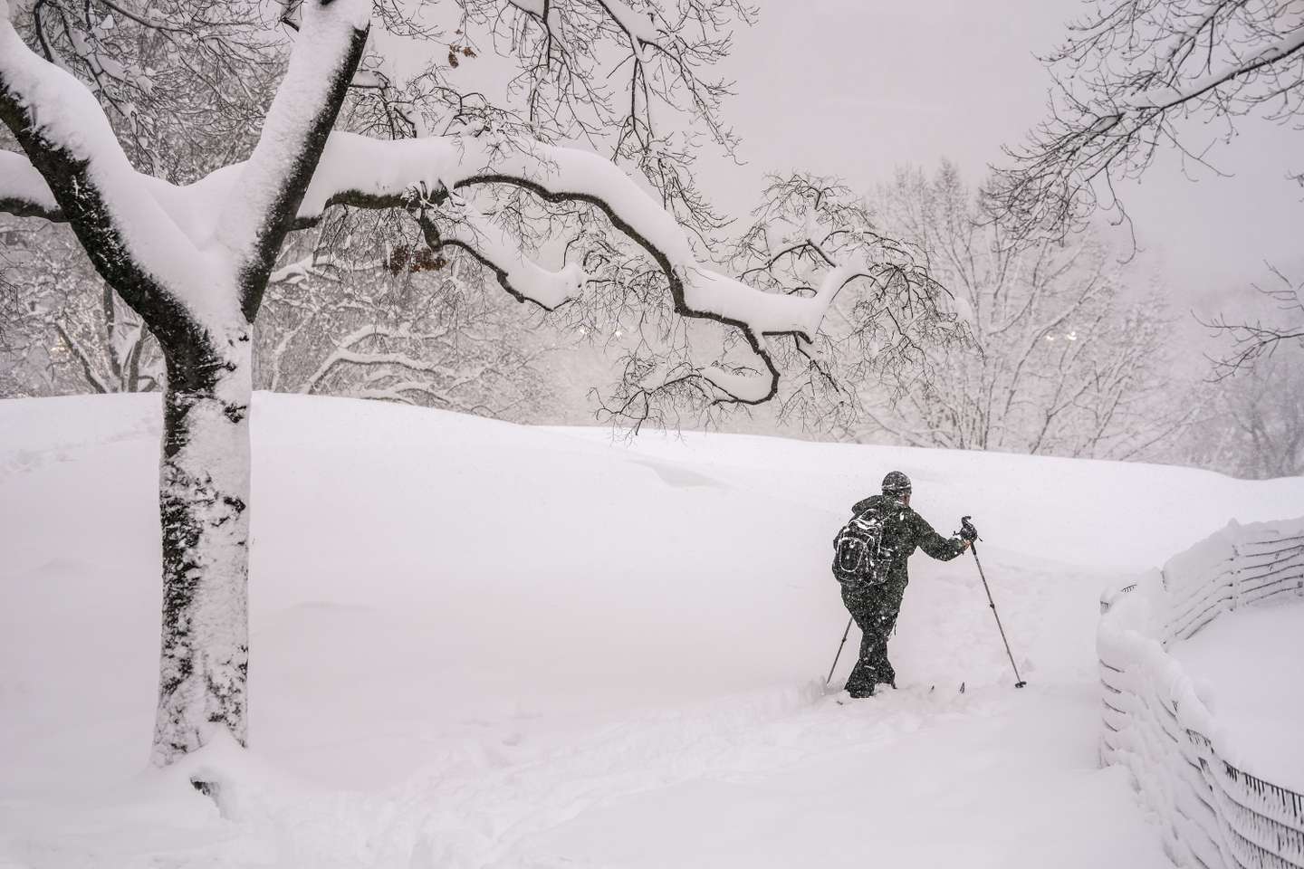 GettyImages-2262681160