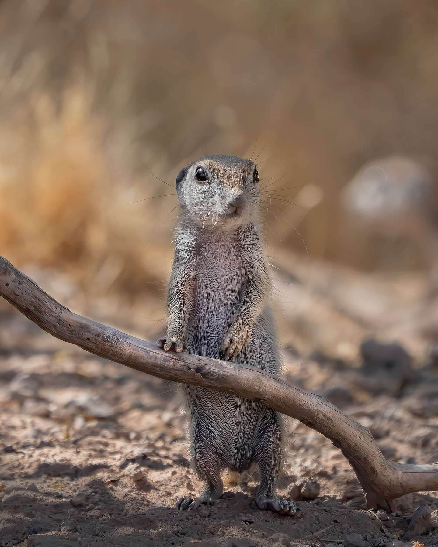 Nature Photographer of the Year 2021