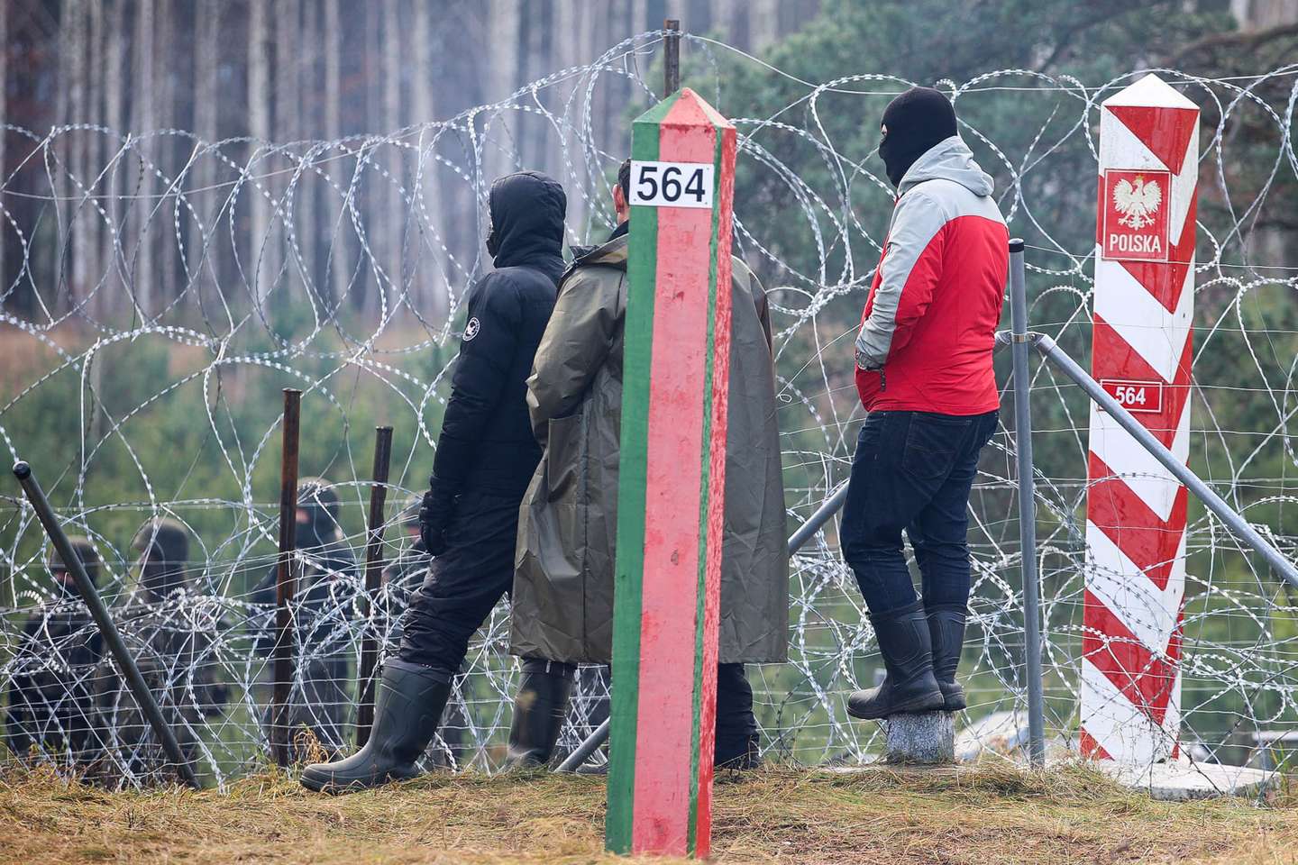 Migrantes encaminhados na fronteira Bielorrússia com a Polónia