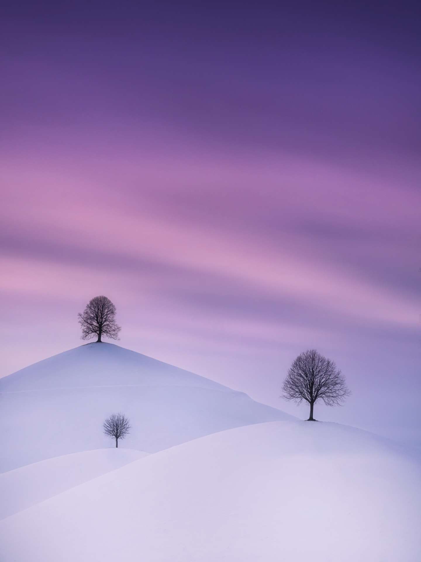 International Landscape Photographer of the Year