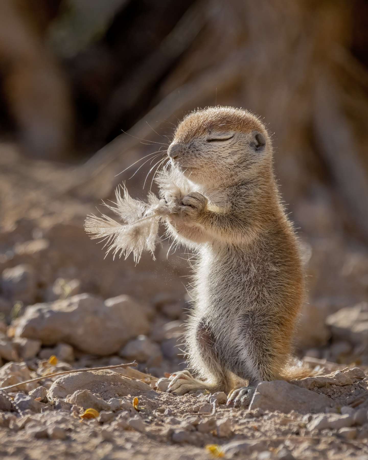 Nature Photographer of the Year 2021