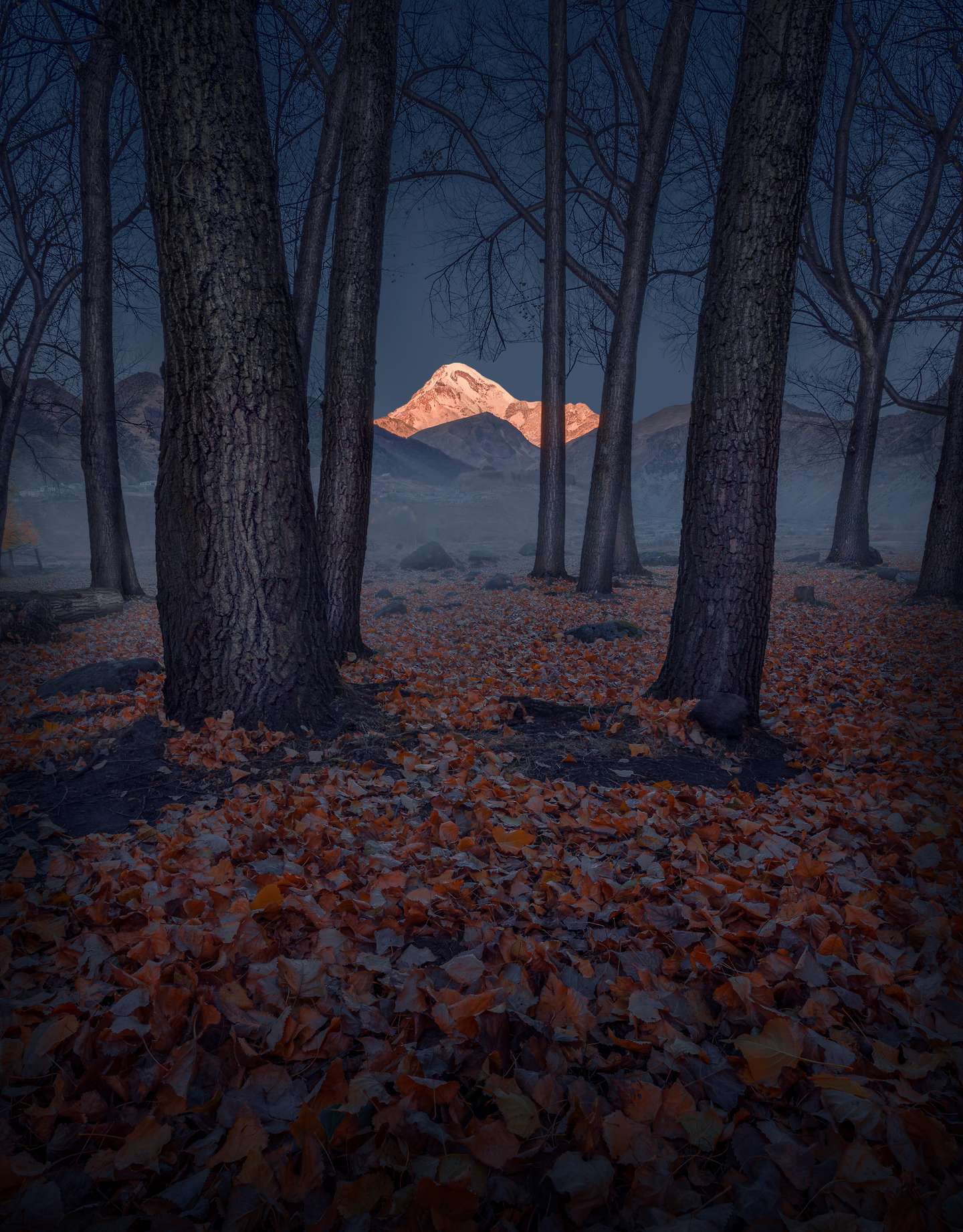 International Landscape Photographer of the Year