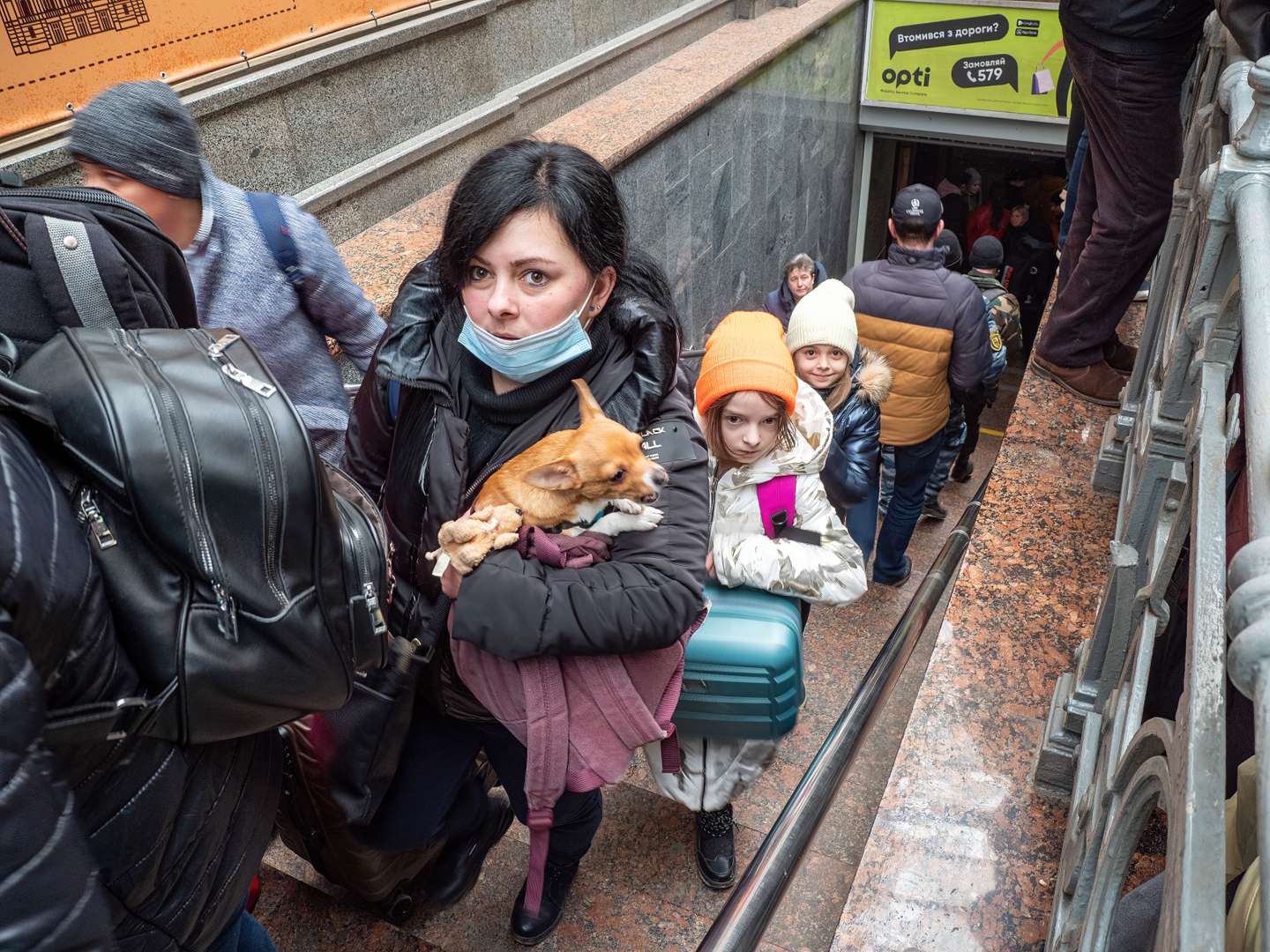 Com a invasão da Ucrânia, as pessoas estão a levar os seus animais de estimação consigo para os abrigos subterrâneos dos bombardeamentos ou para fora do país