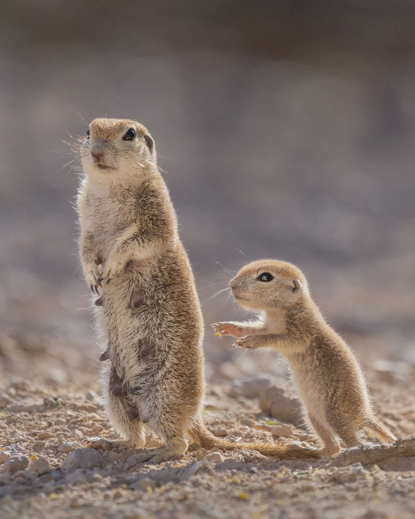 Nature Photographer of the Year 2021