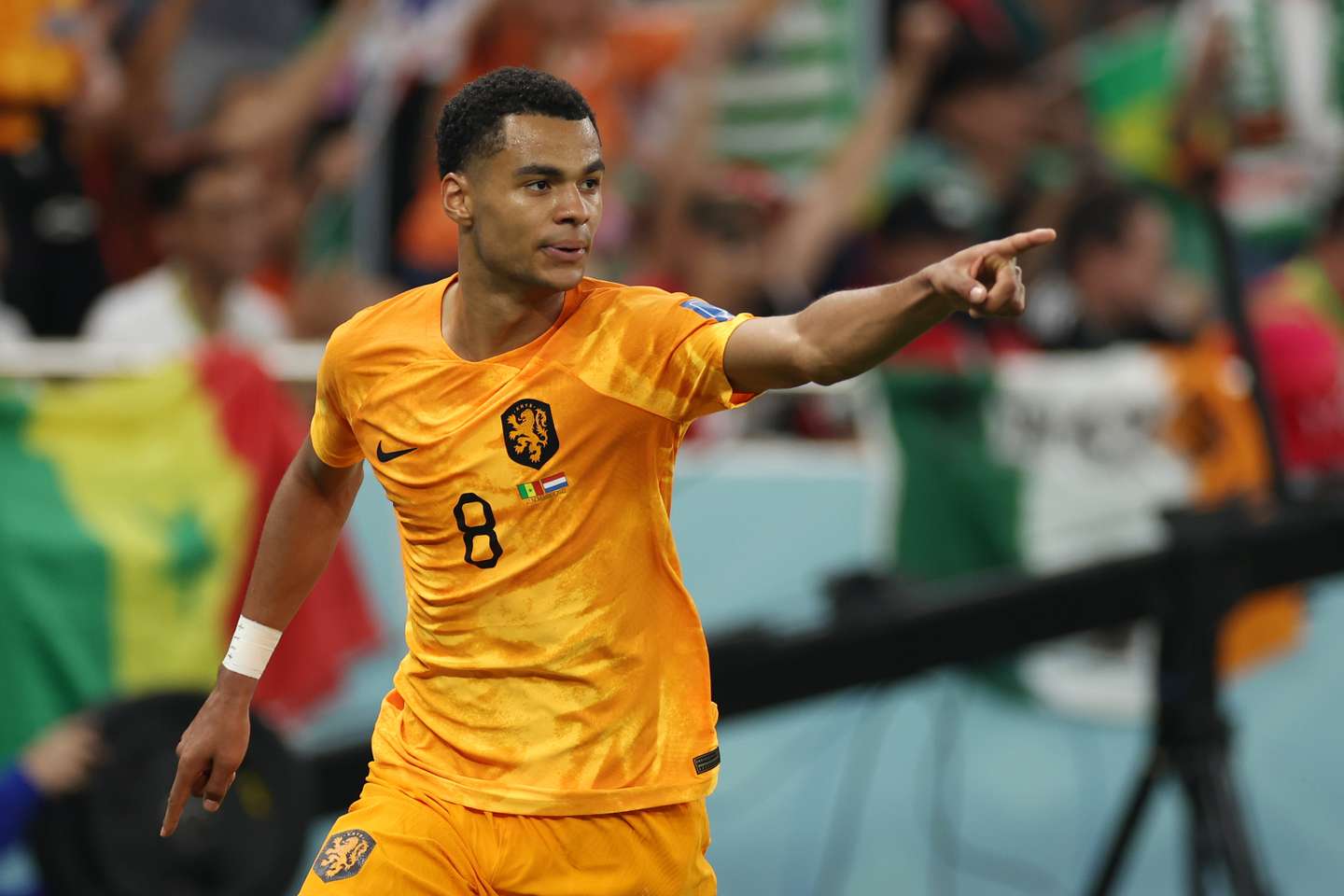 Senegal v Netherlands: Group A - FIFA World Cup Qatar 2022