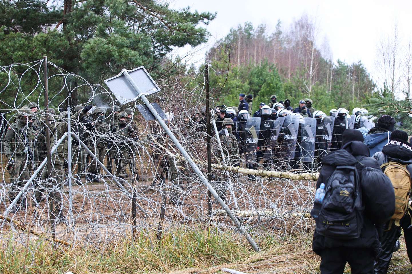 Migrantes encaminhados na fronteira Bielorrússia com a Polónia