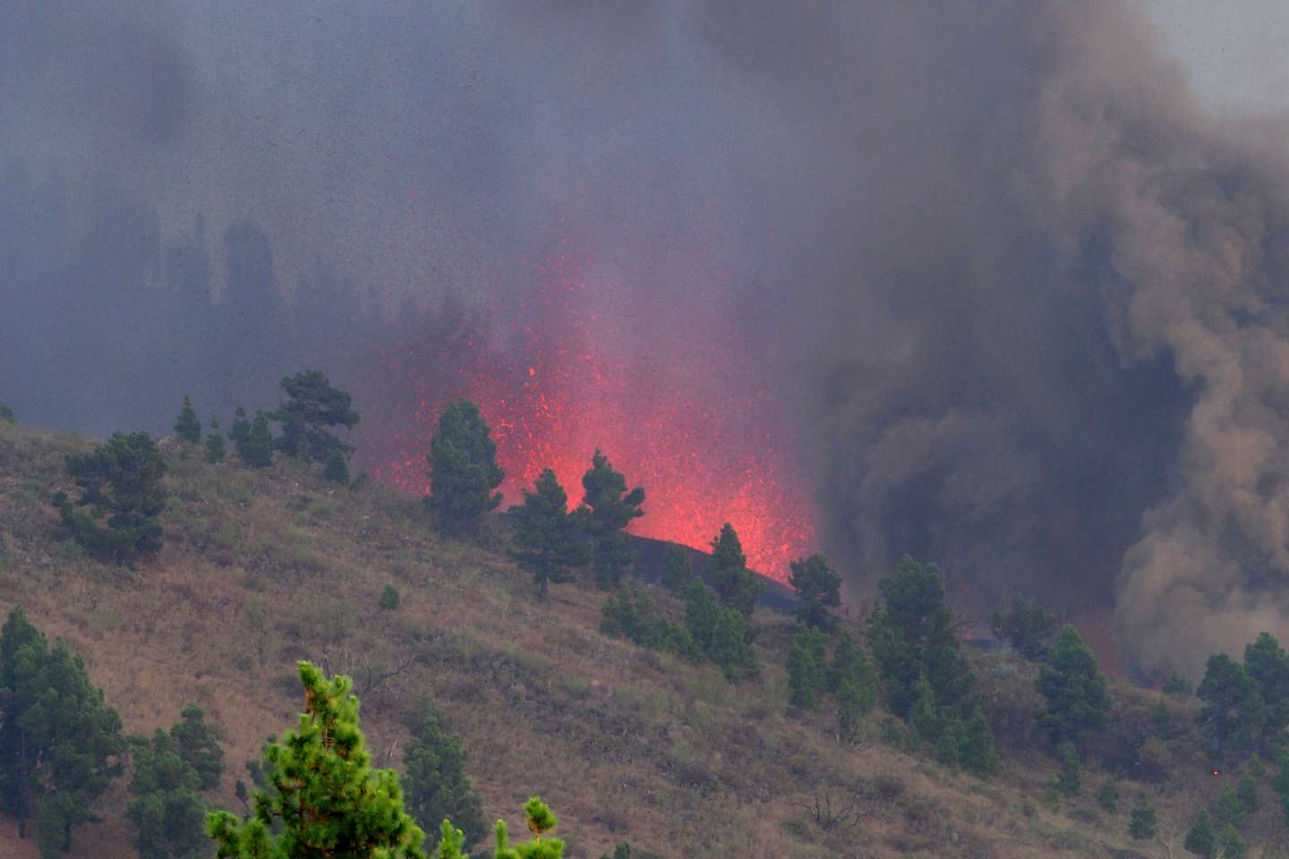 Volcanic Eruption Begins On La Palma.
