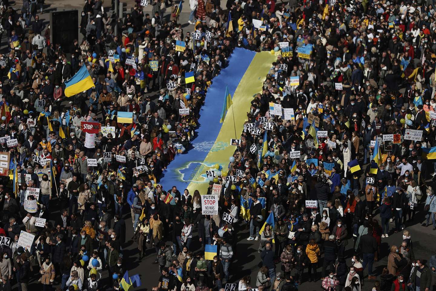 Demonstration in support of Ukraine in Madrid