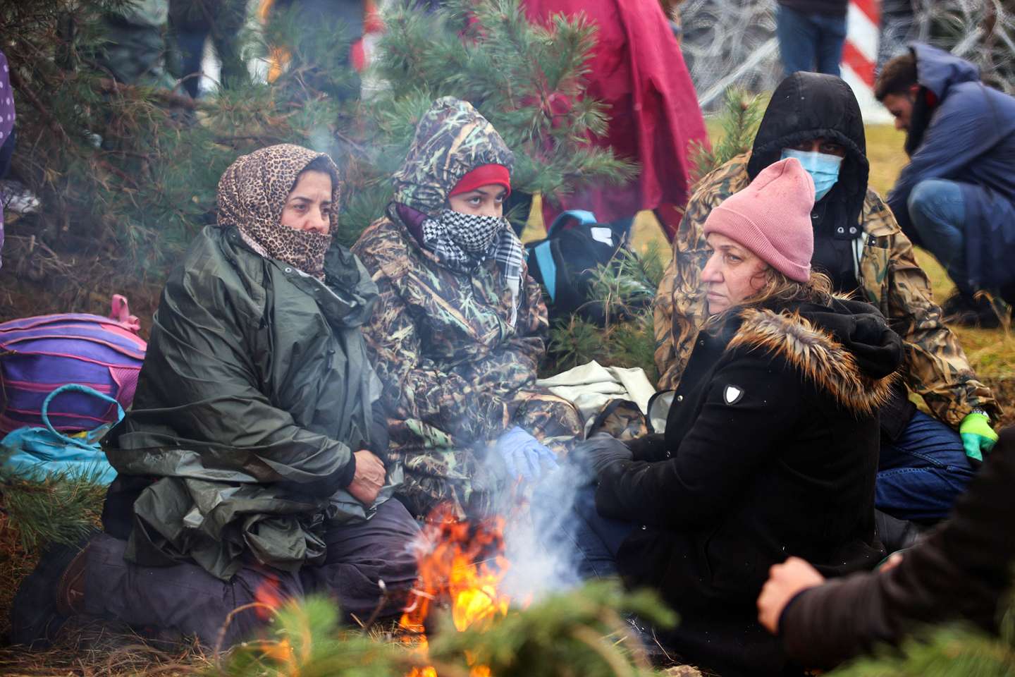 Migrantes encaminhados na fronteira Bielorrússia com a Polónia