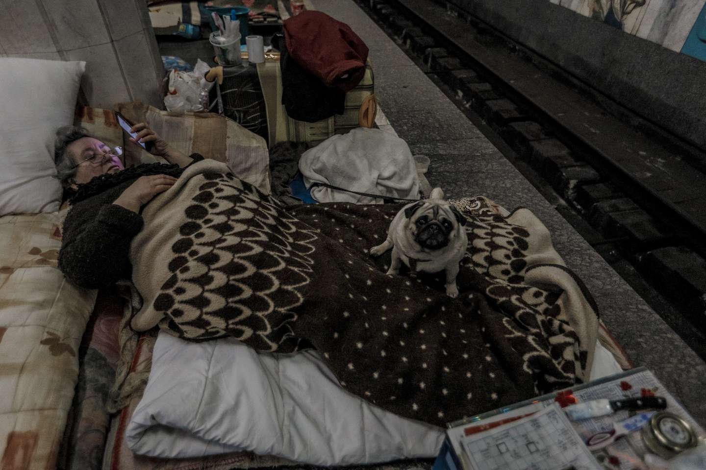 An elderly woman lies on the floor with her dogs inside the