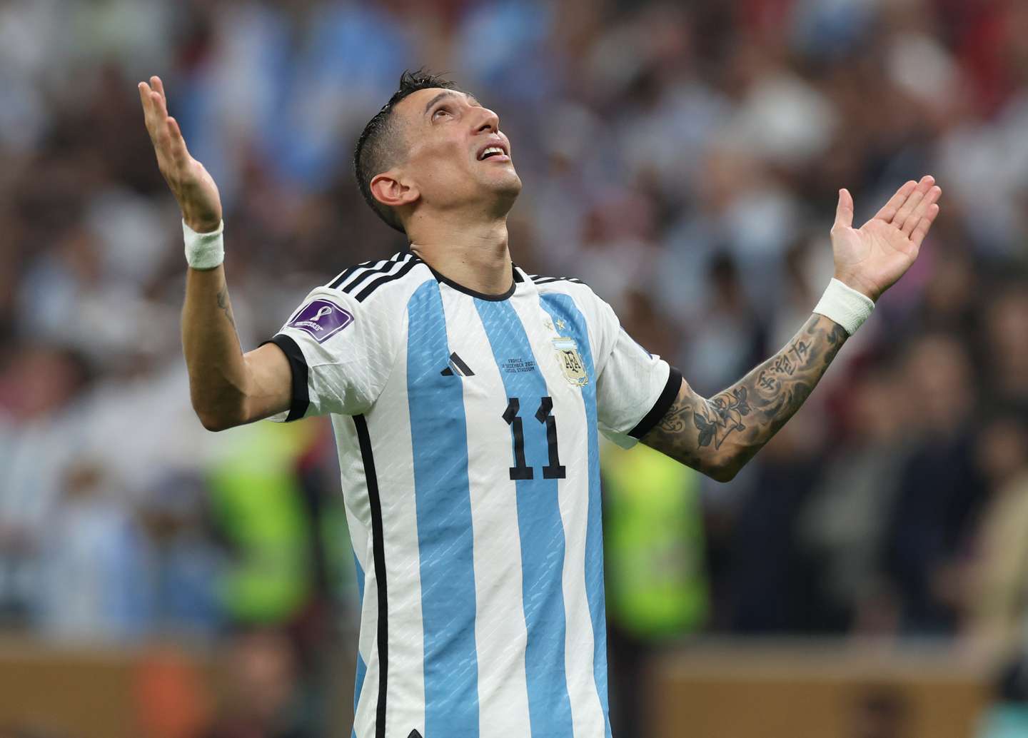 Argentina v France: Final - FIFA World Cup Qatar 2022