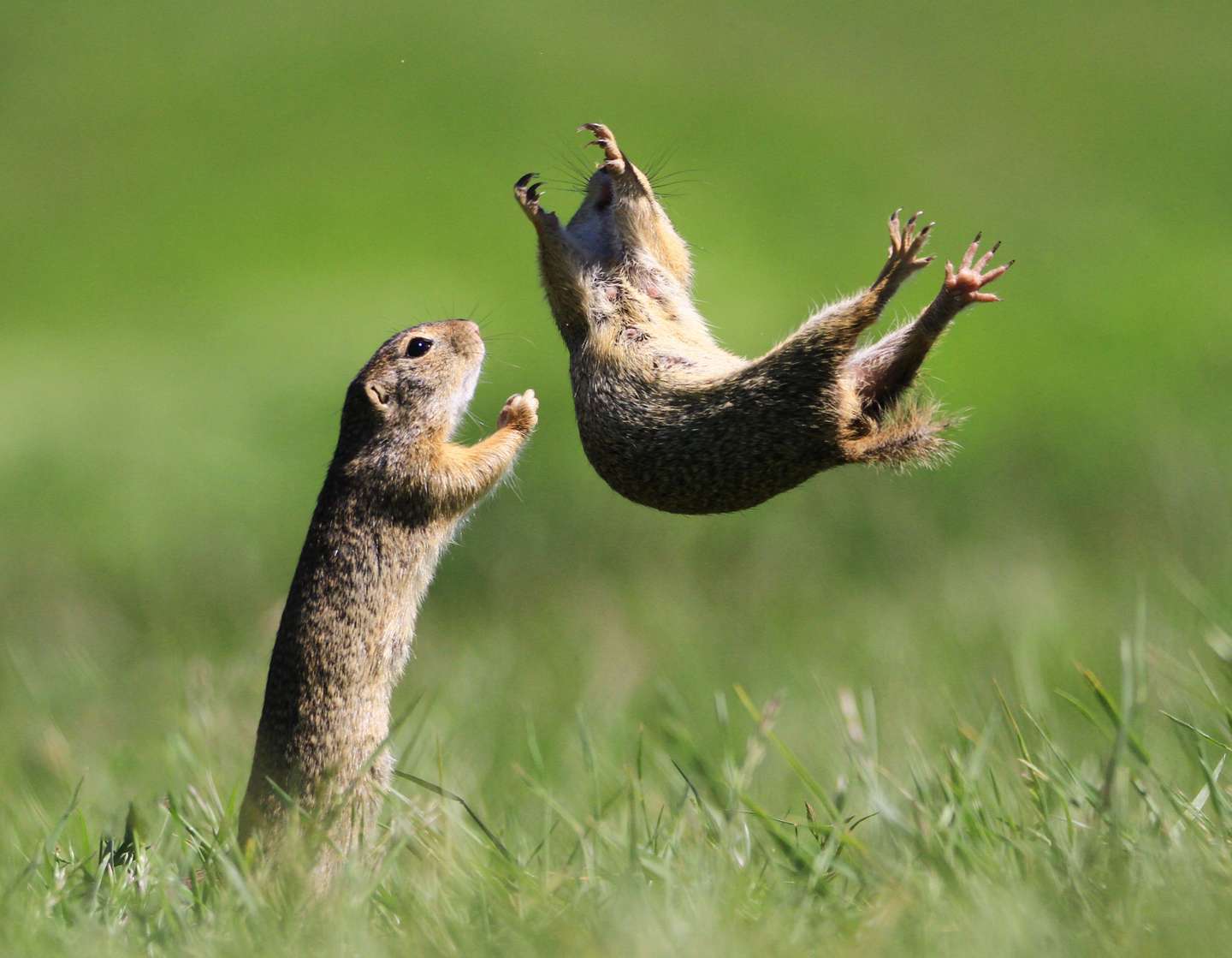 I got you