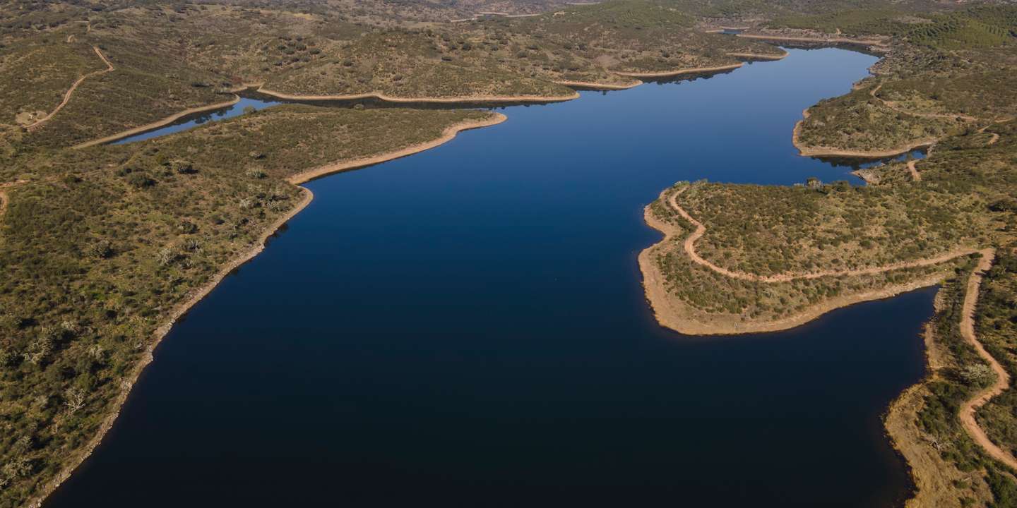 Reportagem sobre a influência da Barragem do Alqueva na agricultura do Alentejo. Reportagem sobre um olival de produção intensiva perto da Beja. Alqueva, Beja, 10 de fevereiro de 2022. JOÃO PORFÍRIO/OBSERVADOR