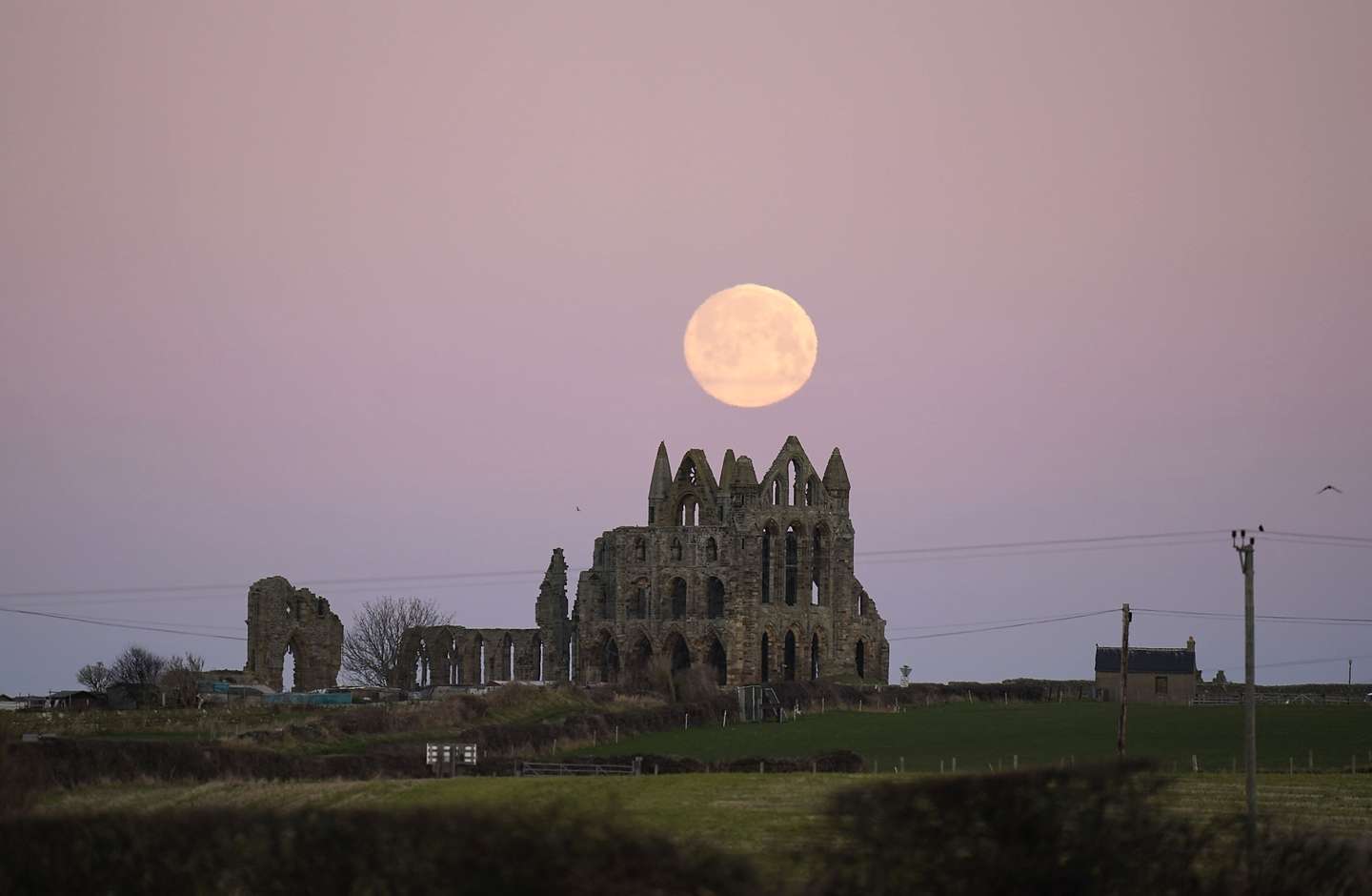 First full moon of 2022