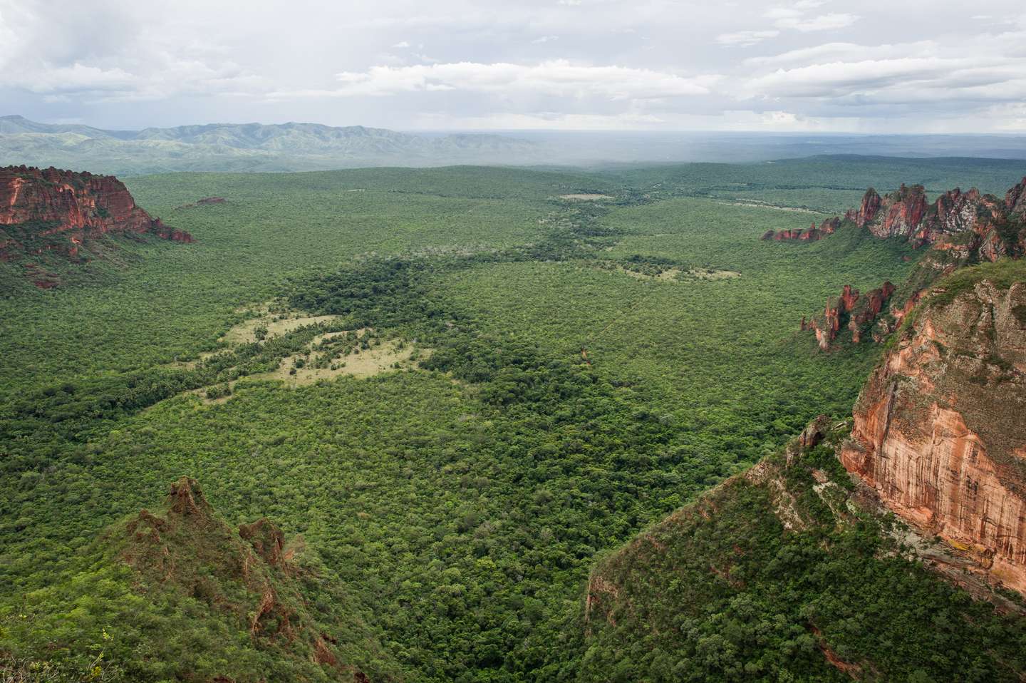 BRAZIL-ENVIRONMENT-CERRADO-PANTANAL