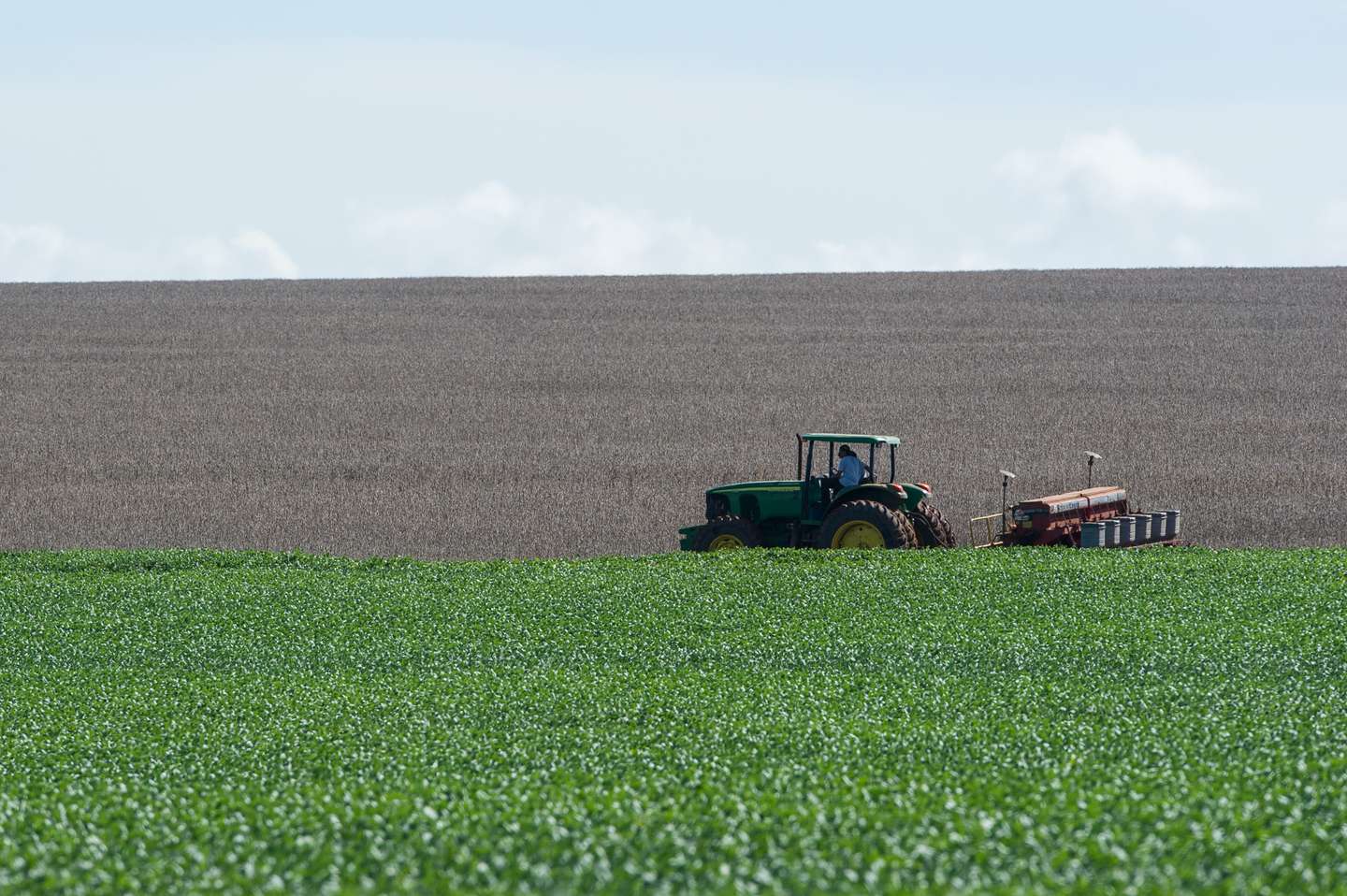 A soybean field in the Cerrado plains ne