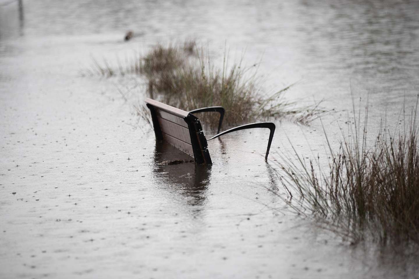 Biggest Floods in Decades Sees Residents in NSW and Sydney Evacuate