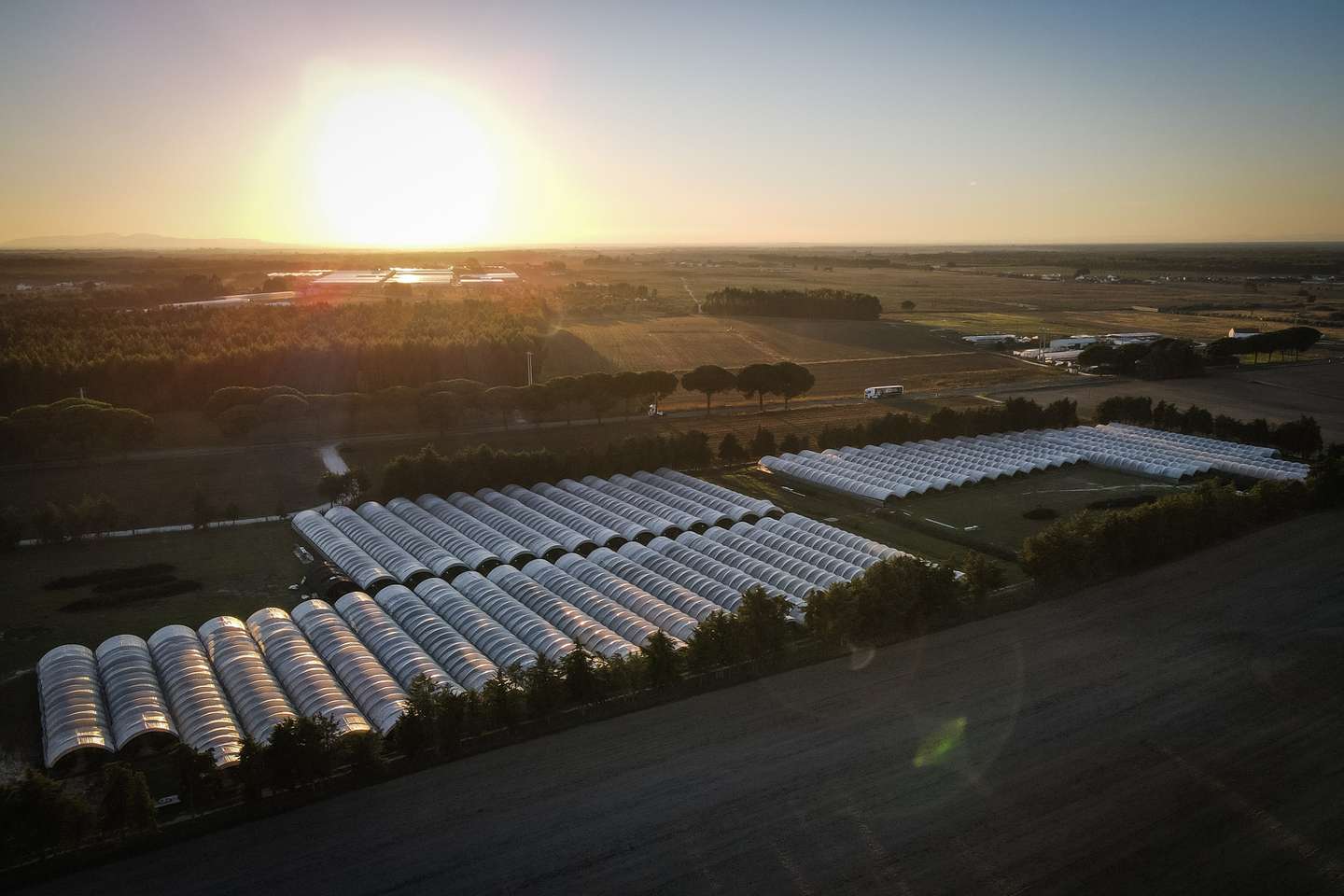 Estufas que pertencem à deputada e porta-voz do PAN Inês Sousa Real. Uma das empresas chama-se Red Fields, no Montijo. Montijo, 15 de novembro de 2021. JOÃO PORFÍRIO/OBSERVADOR